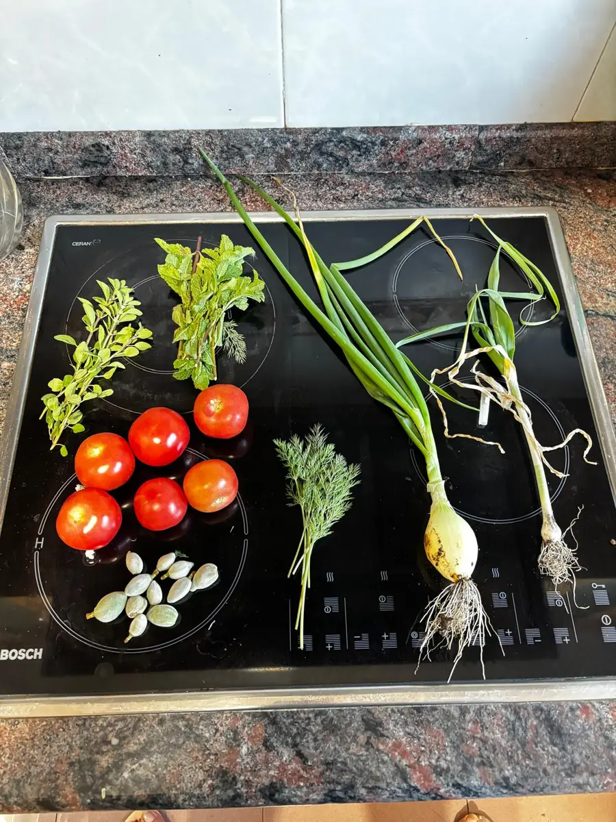 Tomatoes, herbs, spring onions and green almonds from the garden